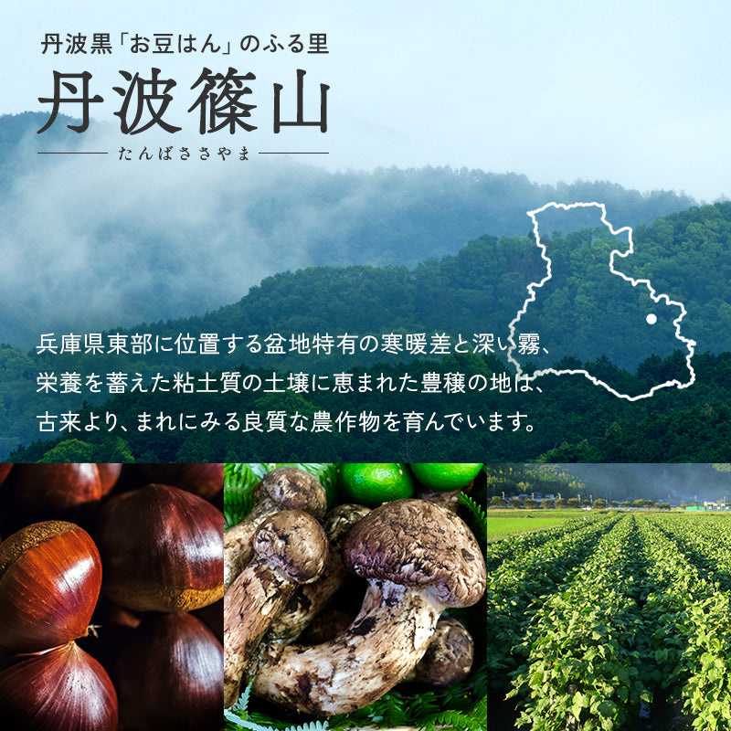 【選べる2袋セット】丹波黒 豆菓子 お豆はん