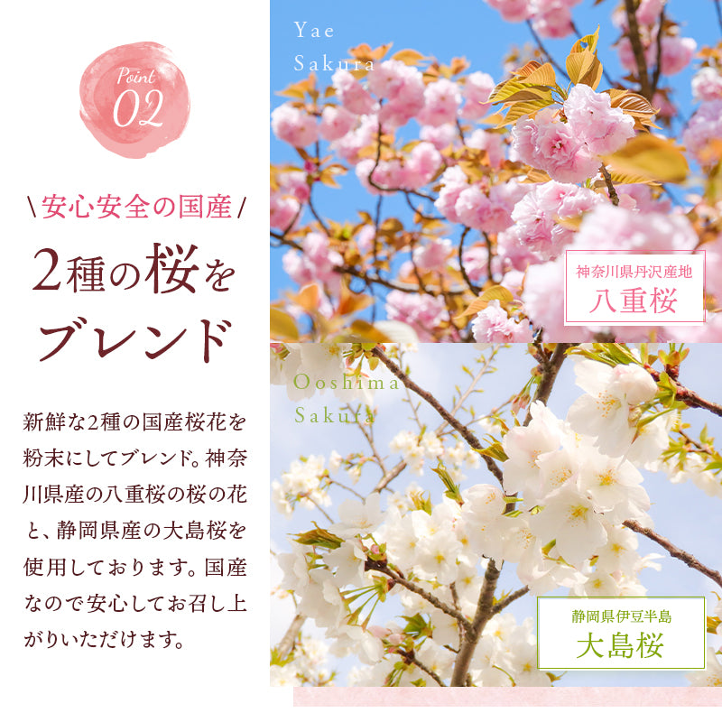 国産 桜をブレンドした 桜らて（100g）10袋 セット