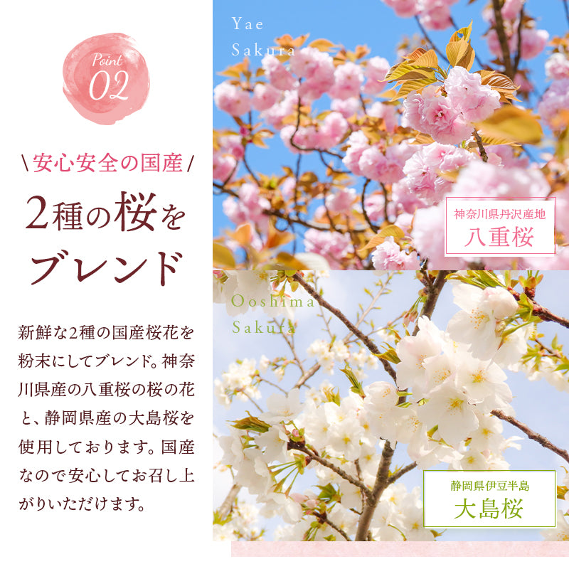 国産 桜をブレンドした 桜らて(100g)3袋 セット