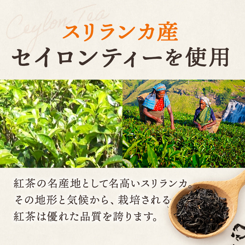 【お得な3袋セット】はちみつ生姜紅茶（2g×30包）3袋セット