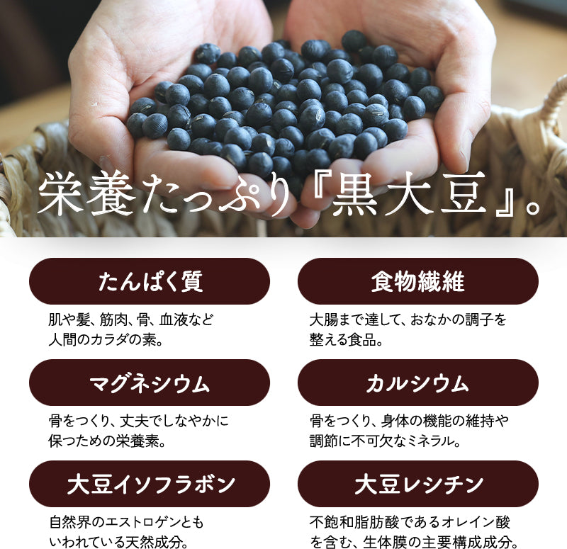 【選べる2袋セット】丹波黒 豆菓子 お豆はん