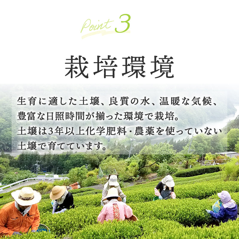 有機煎茶 80g
