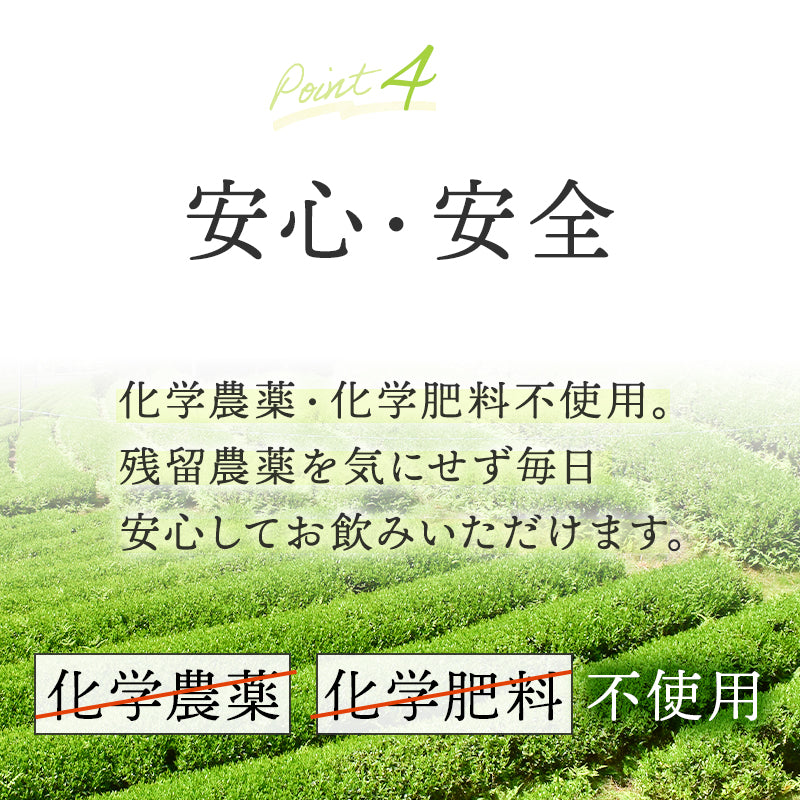 有機煎茶 80g