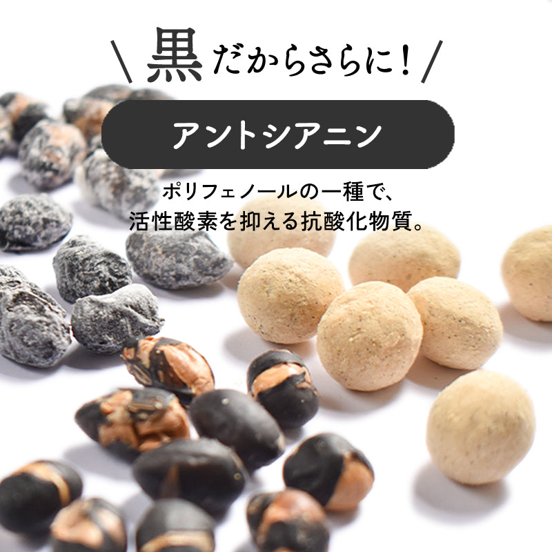 【選べる2袋セット】丹波黒 豆菓子 お豆はん