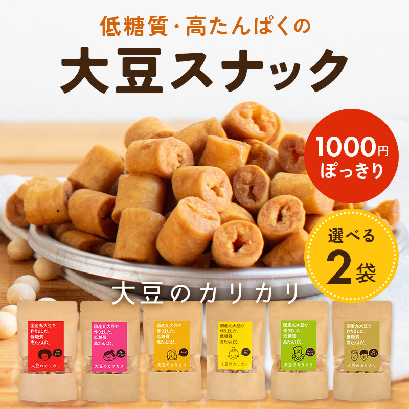大豆のカリカリ【選べる2個セット】