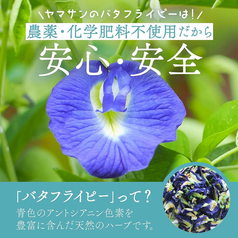 【業務用】バタフライピーパウダー (1kg~)