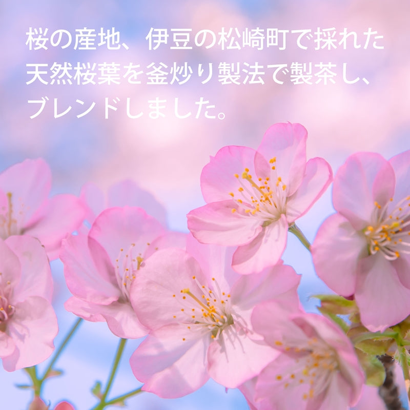 【お得用 3袋セット】桜 煎茶(80g)
