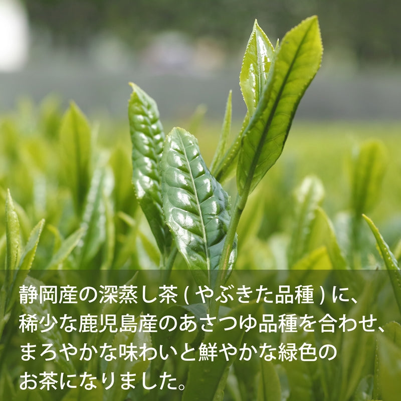 【お得用 3袋セット】桜 煎茶（80g）