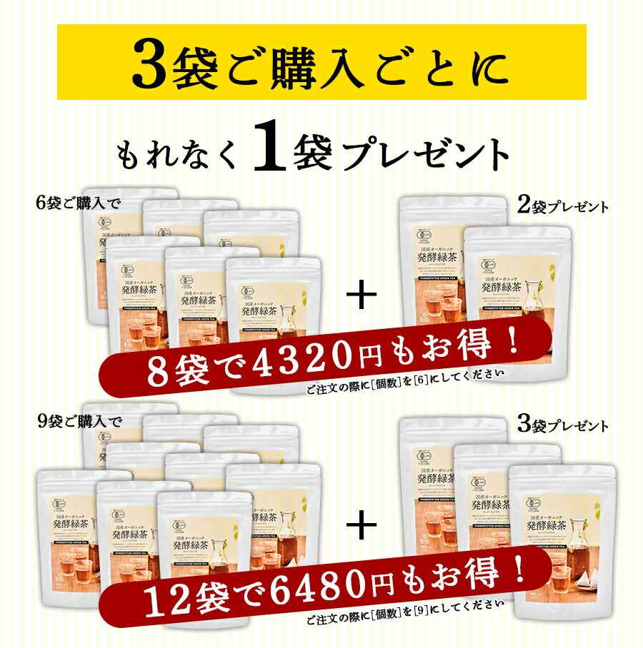 【3袋+1袋プレゼント】国産 オーガニック 発酵緑茶【2g×20包】