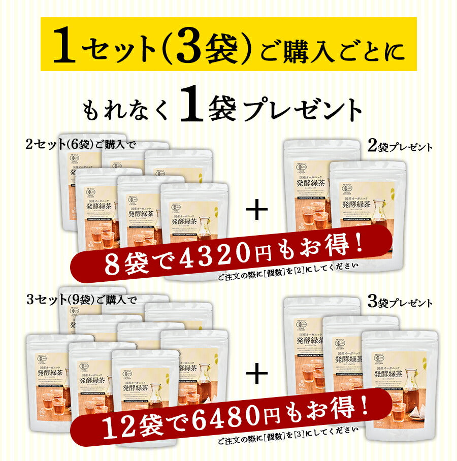 【3袋＋1袋プレゼント】国産 オーガニック 発酵緑茶【2g×20包】