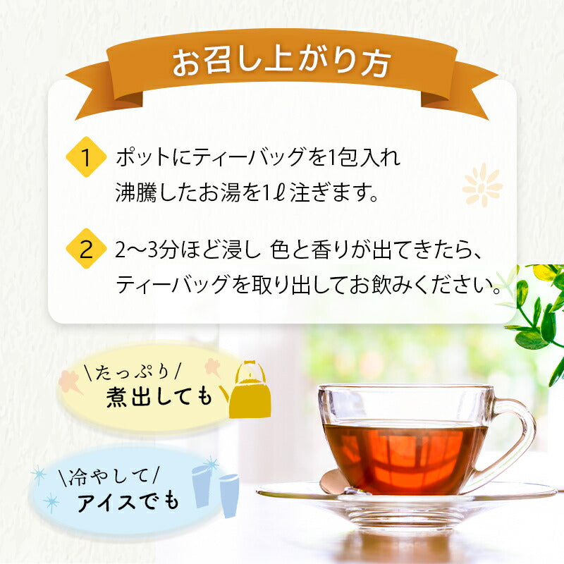 国産 オーガニック 発酵緑茶【5g×15包】