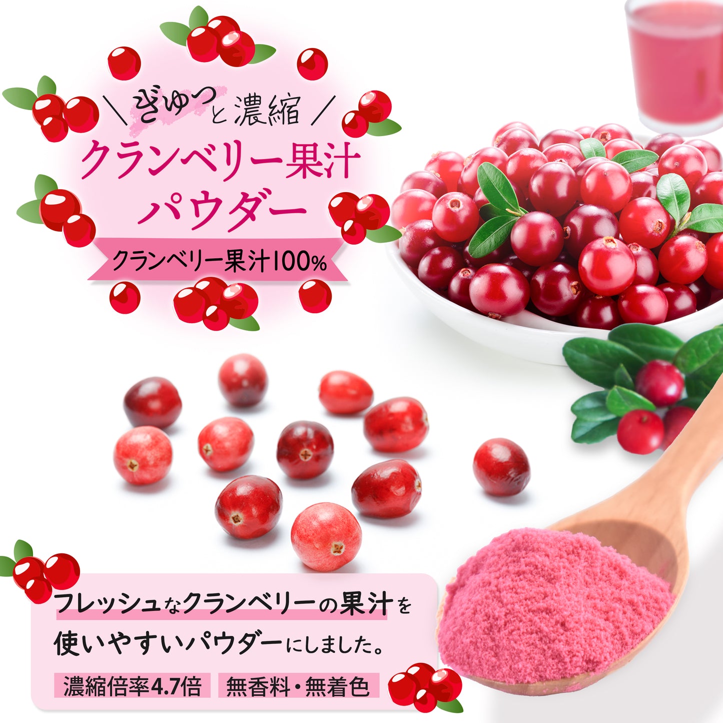 クランベリー果汁パウダー（40g）