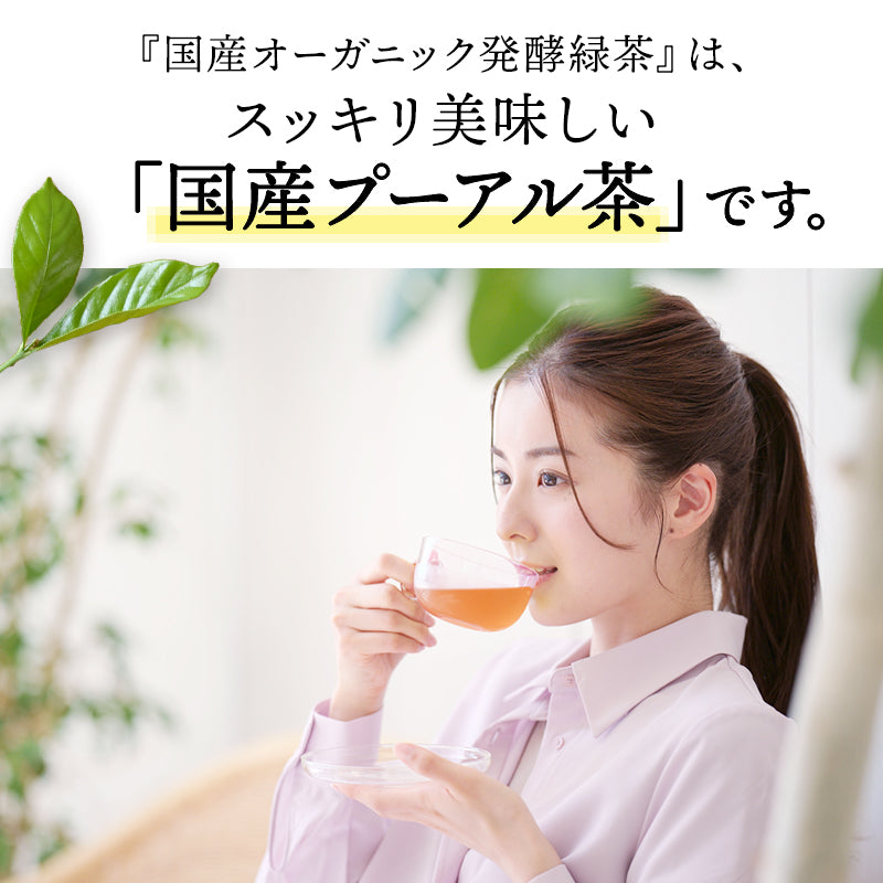 【まとめ買いで10％OFF】国産 オーガニック 発酵緑茶【2g×30包 3袋セット】