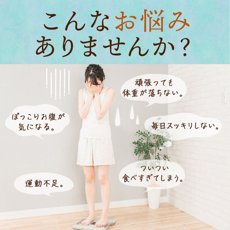 【まとめ買いで10％OFF】国産 オーガニック 発酵緑茶【2g×30包 3袋セット】