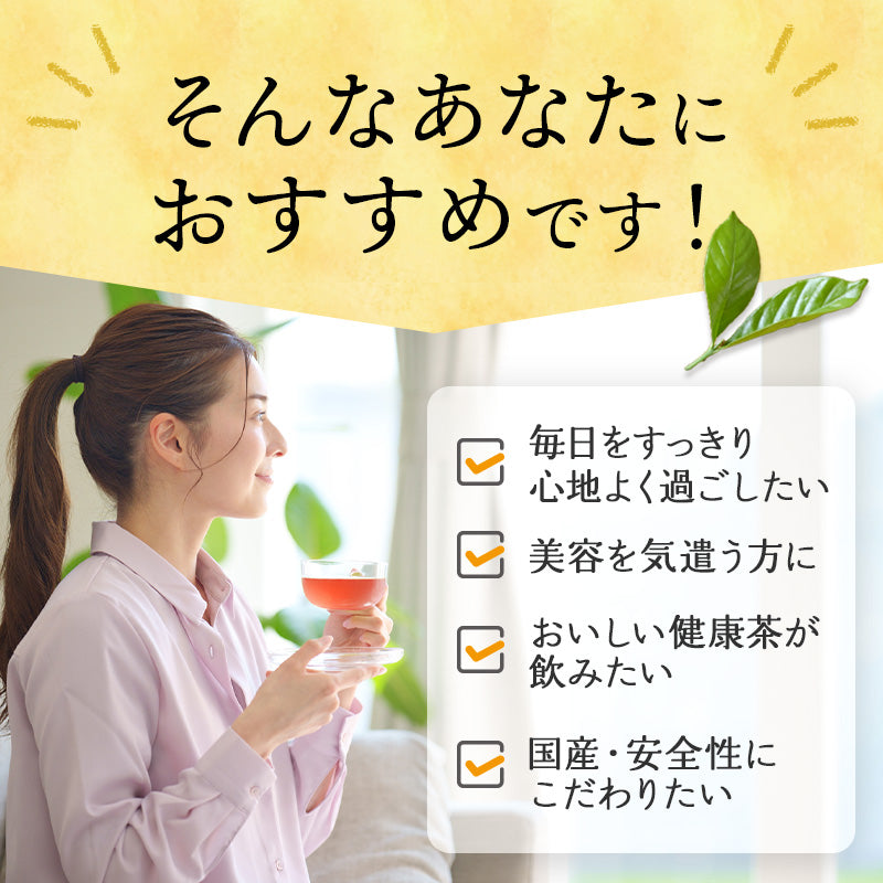 【まとめ買いで10％OFF】国産 オーガニック 発酵緑茶【2g×30包 3袋セット】