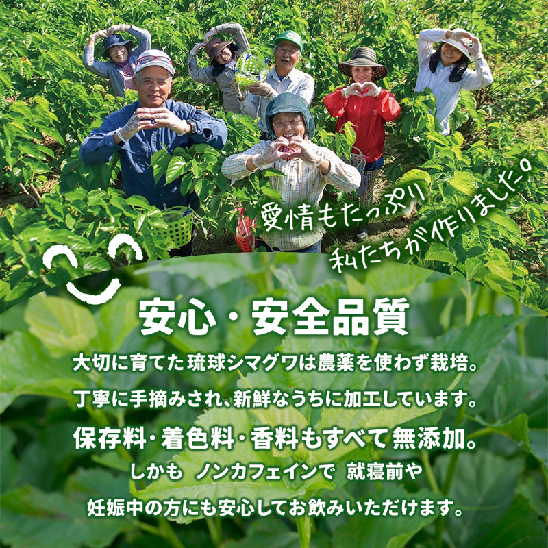 沖縄産 桑の葉パウダー（100g）