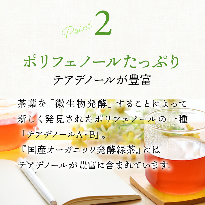 【まとめ買いで10％OFF】国産 オーガニック 発酵緑茶【2g×30包 3袋セット】
