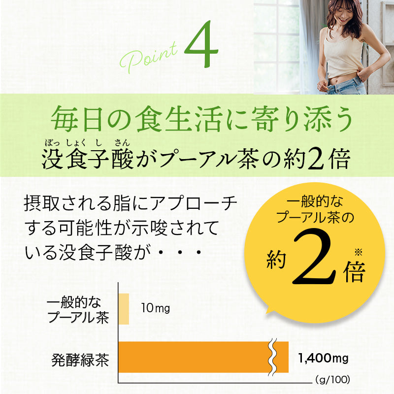 【まとめ買いで10％OFF】国産 オーガニック 発酵緑茶【2g×30包 3袋セット】