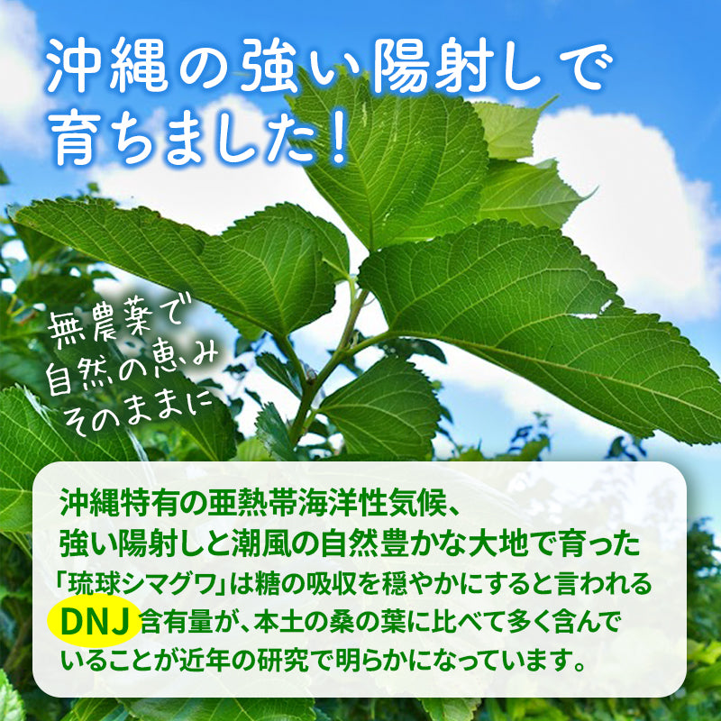 沖縄産 桑の葉パウダー（100g）
