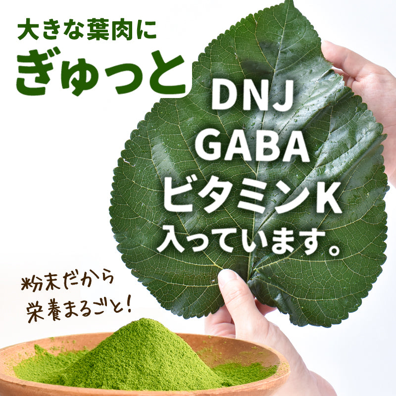 沖縄産 桑の葉パウダー（100g）