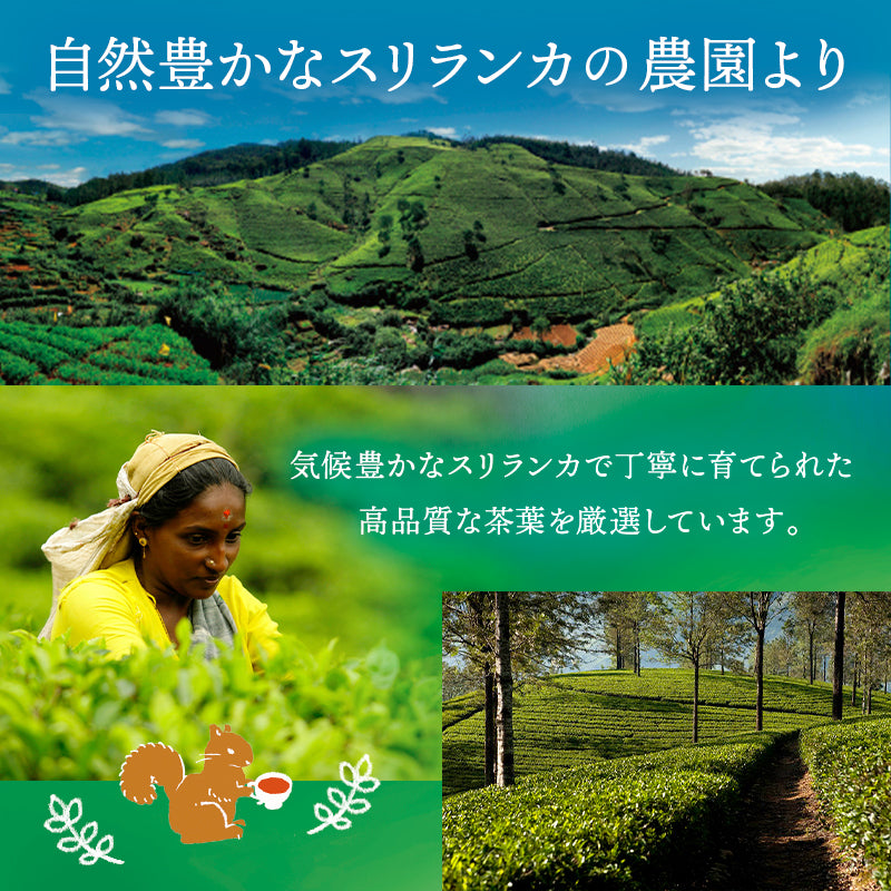 カフェインレス紅茶  100g
