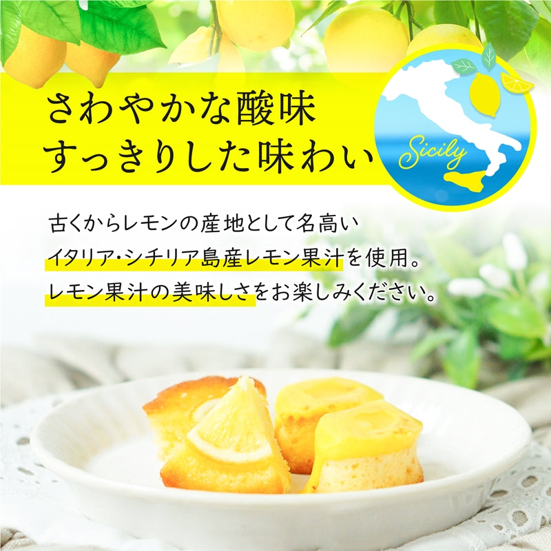 シチリア島産のレモン果汁パウダー（40g）