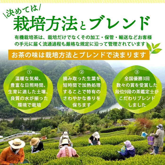 【お得な3袋セット】 有機粉末緑茶 80g×3袋