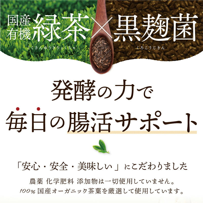 【3袋＋1袋プレゼント】国産 オーガニック 発酵緑茶【2g×20包】