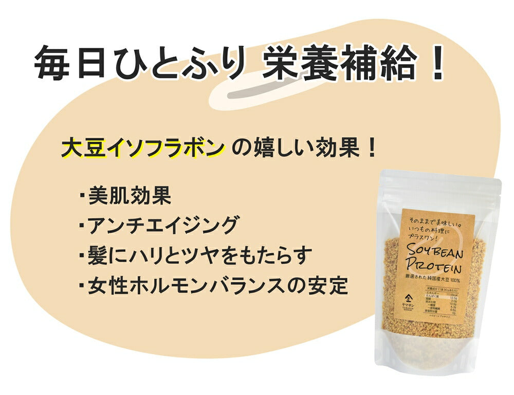 【お得な3袋セット】SOY BEAN PROTEIN 大豆のシリアル（200g×3袋）