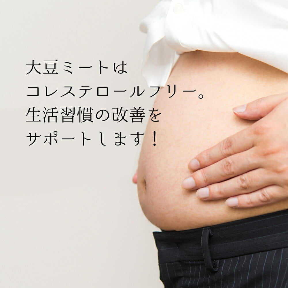 【お得な3袋セット】SOY BEAN PROTEIN 大豆ミート（120g×3袋）