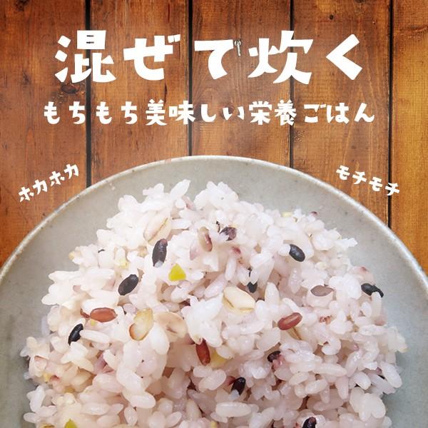 日本の水と土で育てた おいしい 十六雑穀（300g）