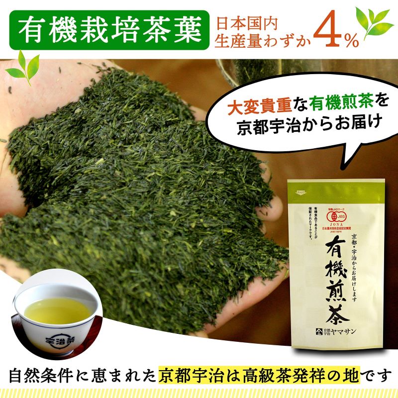 【お得な3袋セット】 有機煎茶 80g×3袋